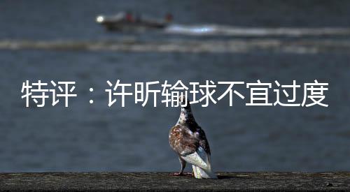 特評：許昕輸球不宜過度解讀 藝術家也有低潮期