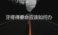 牙疼得要命應該如何辦