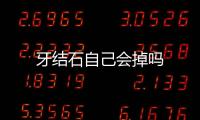 牙結石自己會掉嗎