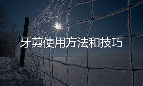 牙剪使用方法和技巧