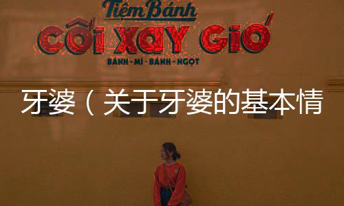 牙婆（關于牙婆的基本情況說明介紹）