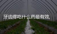 牙齒疼吃什么藥最有效,緩解牙痛的藥物推薦