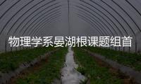 物理學系晏湖根課題組首次在二維材料中證實天然存在的雙曲型等離激元