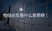 物極必反是什么意思啊（物極必反是什么意思）