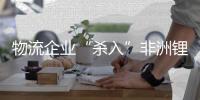 物流企業“殺入”非洲鋰礦！