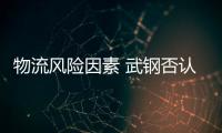 物流風險因素 武鋼否認終止巴西建廠計劃