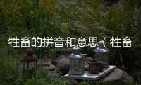 牲畜的拼音和意思（牲畜的拼音）