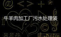 牛羊肉加工廠污水處理裝置