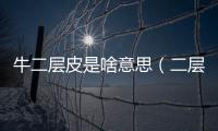 牛二層皮是啥意思（二層牛皮是什么意思）