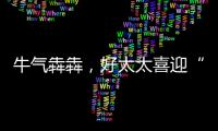 牛氣犇犇，好太太喜迎“開門紅”