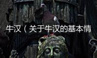 牛漢（關于牛漢的基本情況說明介紹）