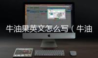 牛油果英文怎么寫（牛油果英文）