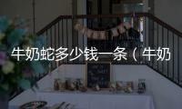 牛奶蛇多少錢一條（牛奶蛇）