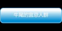 牛尾的宜忌人群