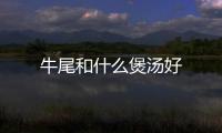 牛尾和什么煲湯好