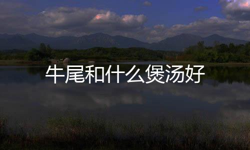 牛尾和什么煲湯好