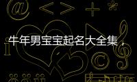 牛年男寶寶起名大全集，如何選取最有意義的名字？
