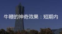 牛鞭的神奇效果：短期內(nèi)見(jiàn)證身體的變化！