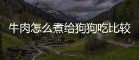 牛肉怎么煮給狗狗吃比較好？給狗煮牛肉放什么調(diào)料
