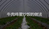 牛肉雞蛋炒飯的做法