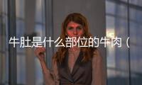 牛肚是什么部位的牛肉（牛肚是牛的哪個部位  牛肚營養分析）
