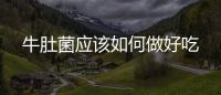 牛肚菌應(yīng)該如何做好吃