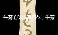 牛蒡的吃法有哪些，牛蒡的吃法