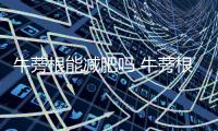 牛蒡根能減肥嗎 牛蒡根怎么可以減肥