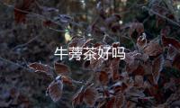 牛蒡茶好嗎