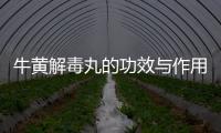 牛黃解毒丸的功效與作用