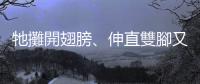 牠攤開翅膀、伸直雙腳又盡可能保持不動(dòng)──戲弄遊客的倫敦渡鴉