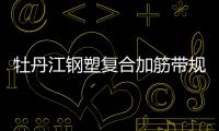 牡丹江鋼塑復合加筋帶規格齊全