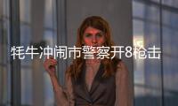 牦牛沖鬧市警察開8槍擊斃