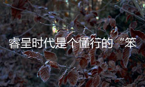 睿呈時(shí)代是個(gè)懂行的“笨小孩”