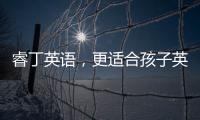 睿丁英語，更適合孩子英語學(xué)習(xí)的教育項(xiàng)目