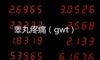 睪丸疼痛（gwt）