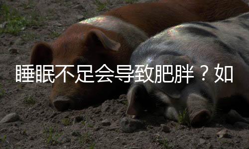 睡眠不足會(huì)導(dǎo)致肥胖？如何改善睡眠助力減重