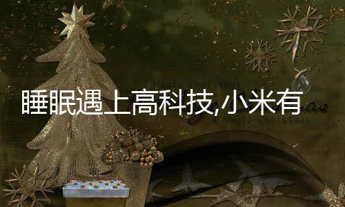 睡眠遇上高科技,小米有品開售8H真皮電動床