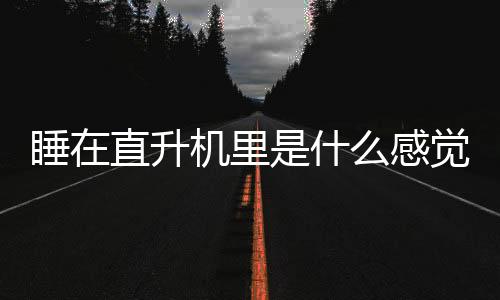 睡在直升機(jī)里是什么感覺？這個旅館伴你奢華入眠（組圖）