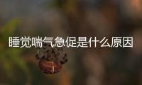 睡覺喘氣急促是什么原因(小貓喘氣急促怎么回事)