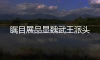 矚目展品顯魏武王派頭