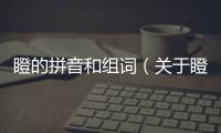 瞪的拼音和組詞（關于瞪的拼音和組詞的基本情況說明介紹）