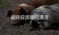 瓷磚應該如何清潔