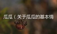 瓜瓜（關于瓜瓜的基本情況說明介紹）