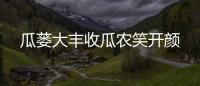 瓜蔞大豐收瓜農笑開顏