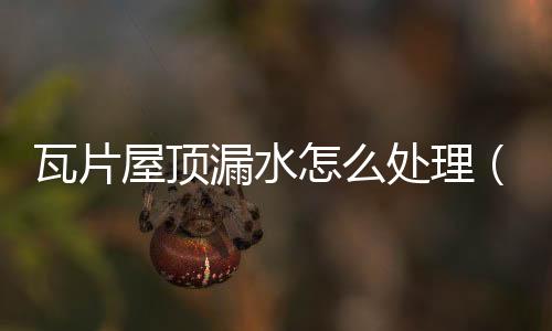 瓦片屋頂漏水怎么處理（瓦片）