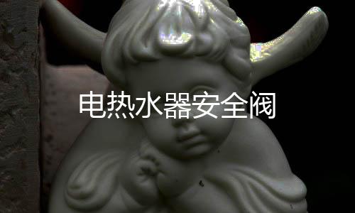 電熱水器安全閥