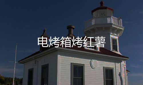 電烤箱烤紅薯