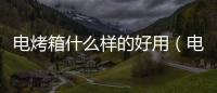電烤箱什么樣的好用（電烤箱好用嗎）