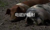 電磁爐輻射